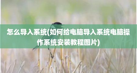 怎么导入系统(如何给电脑导入系统电脑操作系统安装教程图片)