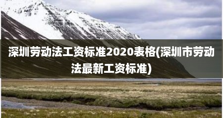 深圳劳动法工资标准2020表格(深圳市劳动法最新工资标准)