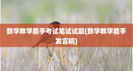 数学教学能手考试笔试试题(数学教学能手发言稿)