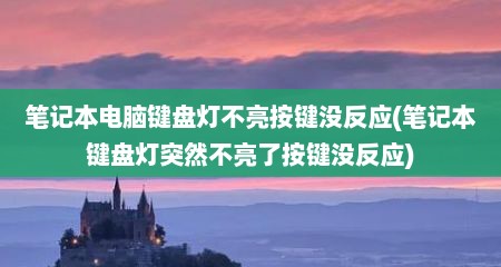 笔记本电脑键盘灯不亮按键没反应(笔记本键盘灯突然不亮了按键没反应)