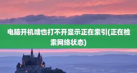 电脑开机啥也打不开显示正在索引(正在检索网络状态)