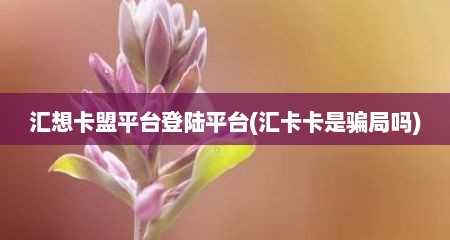 汇想卡盟平台登陆平台(汇卡卡是骗局吗)