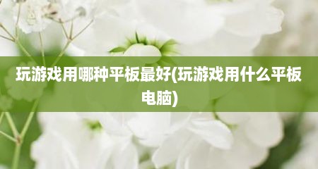 玩游戏用哪种平板最好(玩游戏用什么平板电脑)