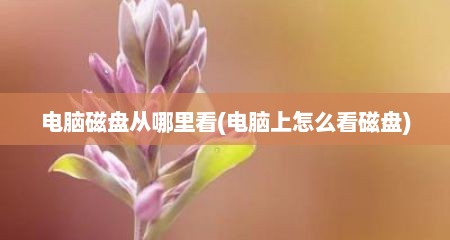 电脑磁盘从哪里看(电脑上怎么看磁盘)