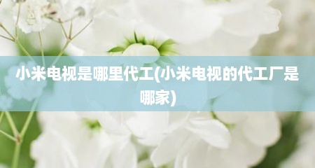 小米电视是哪里代工(小米电视的代工厂是哪家)