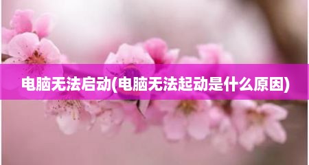 电脑无法启动(电脑无法起动是什么原因)