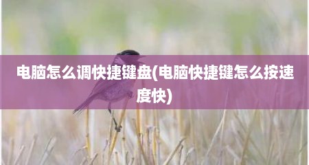 电脑怎么调快捷键盘(电脑快捷键怎么按速度快)