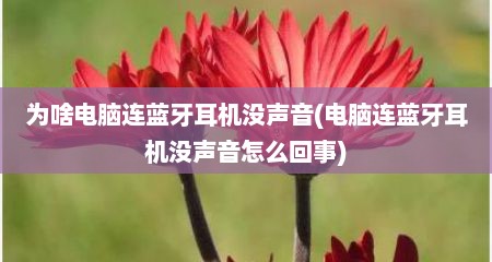 为啥电脑连蓝牙耳机没声音(电脑连蓝牙耳机没声音怎么回事)