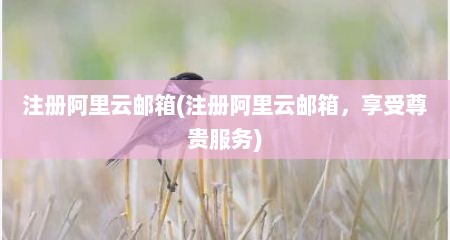 注册阿里云邮箱(注册阿里云邮箱，享受尊贵服务)