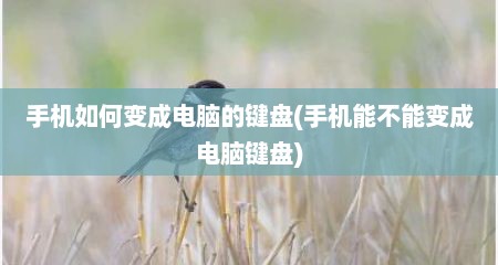 手机如何变成电脑的键盘(手机能不能变成电脑键盘)