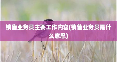 销售业务员主要工作内容(销售业务员是什么意思)