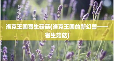 洛克王国寄生菇菇(洛克王国的新幻兽——寄生菇菇)