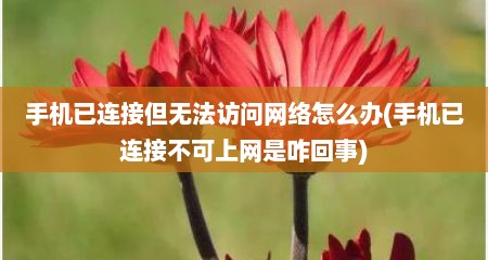 手机已连接但无法访问网络怎么办(手机已连接不可上网是咋回事)