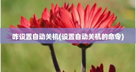 咋设置自动关机(设置自动关机的命令)