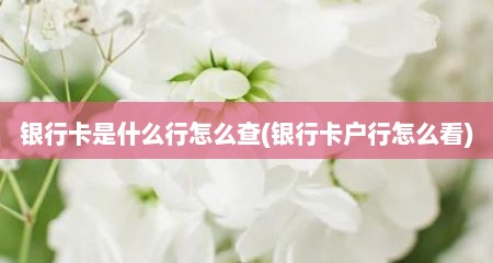 银行卡是什么行怎么查(银行卡户行怎么看)