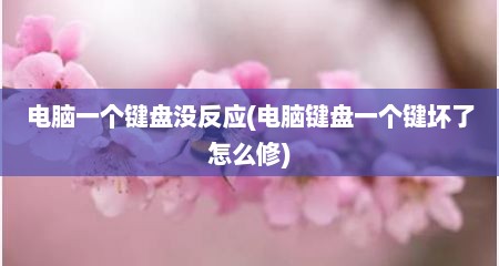 电脑一个键盘没反应(电脑键盘一个键坏了怎么修)