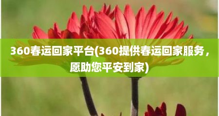 360春运回家平台(360提供春运回家服务，愿助您平安到家)