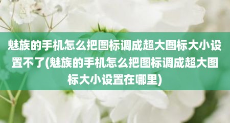 魅族的手机怎么把图标调成超大图标大小设置不了(魅族的手机怎么把图标调成超大图标大小设置在哪里)