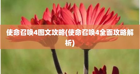 使命召唤4图文攻略(使命召唤4全面攻略解析)