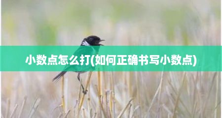 小数点怎么打(如何正确书写小数点)