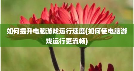 如何提升电脑游戏运行速度(如何使电脑游戏运行更流畅)