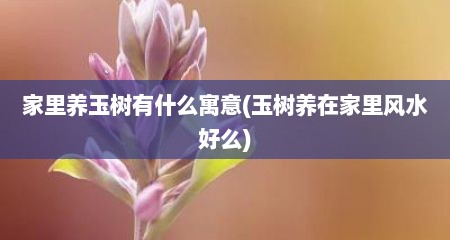 家里养玉树有什么寓意(玉树养在家里风水好么)