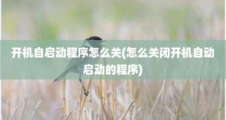 开机自启动程序怎么关(怎么关闭开机自动启动的程序)