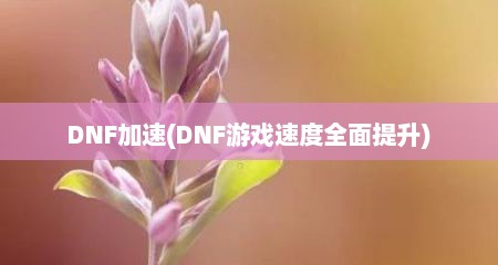 DNF加速(DNF游戏速度全面提升)