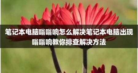 笔记本电脑嗡嗡响怎么解决笔记本电脑出现嗡嗡响教你排查解决方法