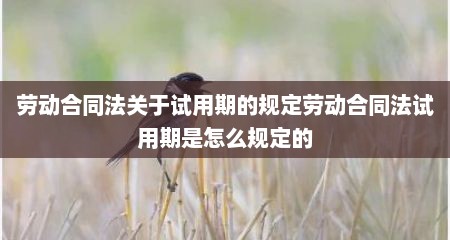 劳动合同法关于试用期的规定劳动合同法试用期是怎么规定的