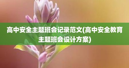 高中安全主题班会记录范文(高中安全教育主题班会设计方案)