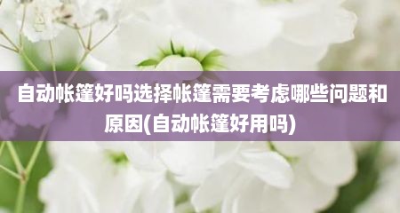 自动帐篷好吗选择帐篷需要考虑哪些问题和原因(自动帐篷好用吗)