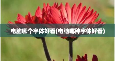 电脑哪个字体好看(电脑哪种字体好看)