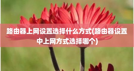 路由器上网设置选择什么方式(路由器设置中上网方式选择哪个)