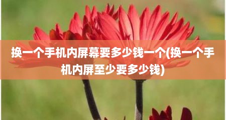 换一个手机内屏幕要多少钱一个(换一个手机内屏至少要多少钱)