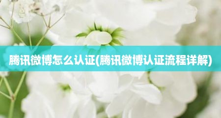 腾讯微博怎么认证(腾讯微博认证流程详解)