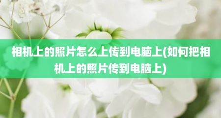 相机上的照片怎么上传到电脑上(如何把相机上的照片传到电脑上)