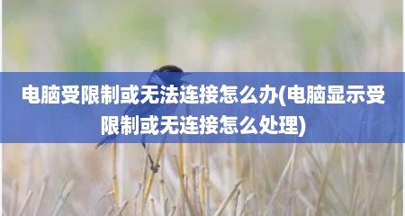 电脑受限制或无法连接怎么办(电脑显示受限制或无连接怎么处理)