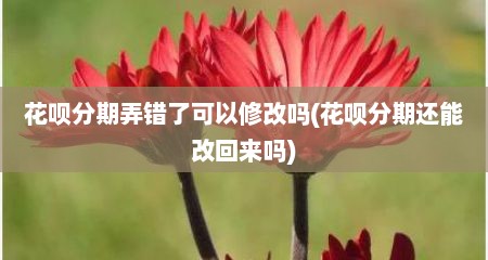 花呗分期弄错了可以修改吗(花呗分期还能改回来吗)