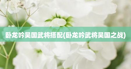 卧龙吟吴国武将搭配(卧龙吟武将吴国之战)