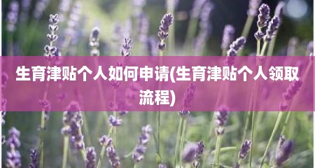 生育津贴个人如何申请(生育津贴个人领取流程)