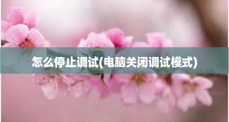 怎么停止调试(电脑关闭调试模式)