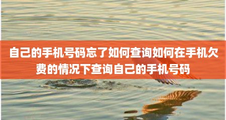 自己的手机号码忘了如何查询如何在手机欠费的情况下查询自己的手机号码