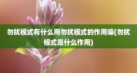 勿扰模式有什么用勿扰模式的作用嘛(勿扰模式是什么作用)