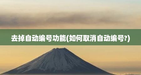 去掉自动编号功能(如何取消自动编号?)