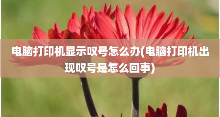 电脑打印机显示叹号怎么办(电脑打印机出现叹号是怎么回事)