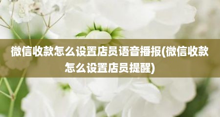 微信收款怎么设置店员语音播报(微信收款怎么设置店员提醒)