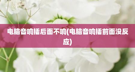 电脑音响插后面不响(电脑音响插前面没反应)