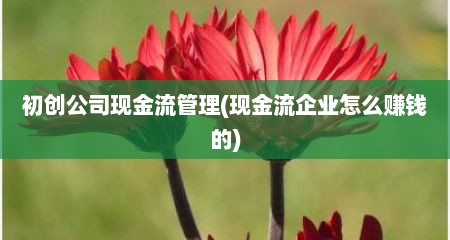 初创公司现金流管理(现金流企业怎么赚钱的)