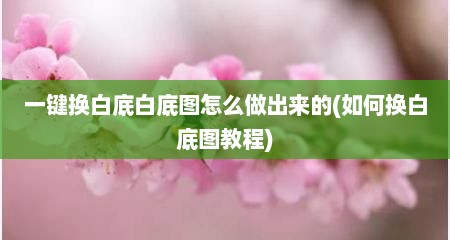 一键换白底白底图怎么做出来的(如何换白底图教程)